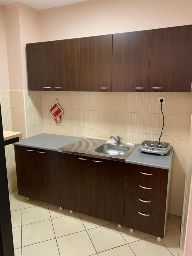 Mila Apartment ノヴィ・サド エクステリア 写真