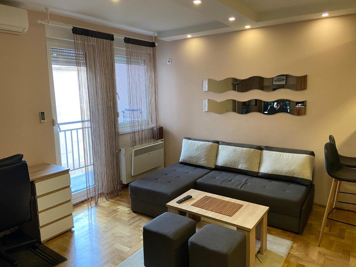 Mila Apartment ノヴィ・サド エクステリア 写真